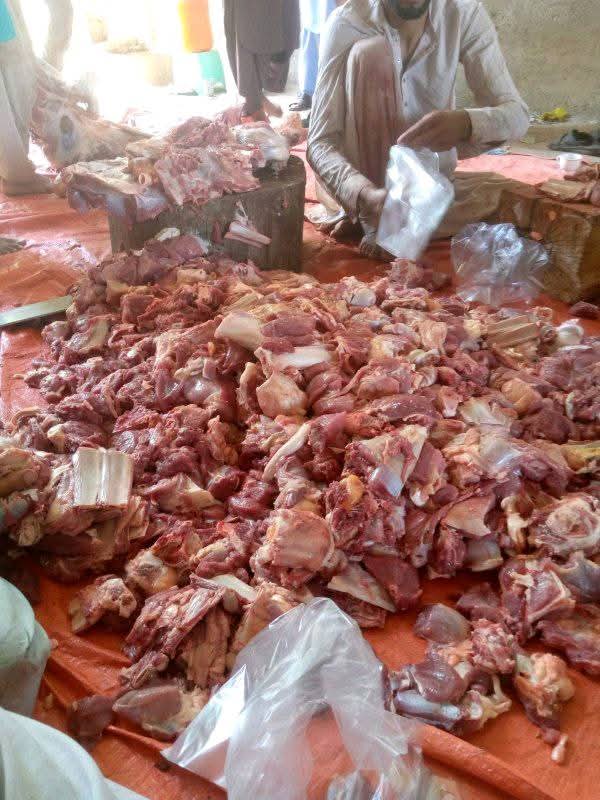 Impact Photo other-45